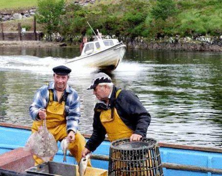 Golden'S Cove Apartments At Sneem Hotel Eksteriør bilde